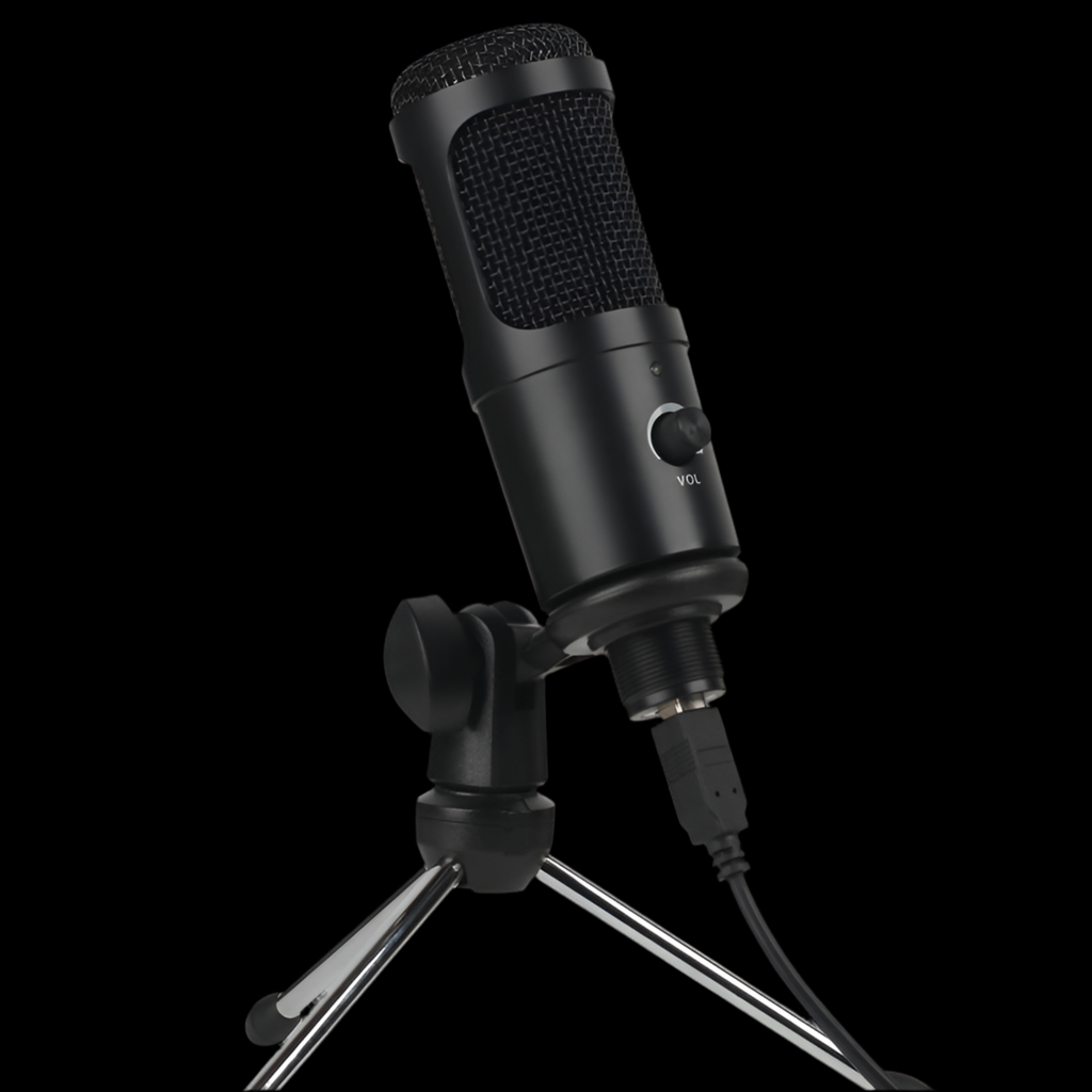 Condenser Voice Microphone Live Recording