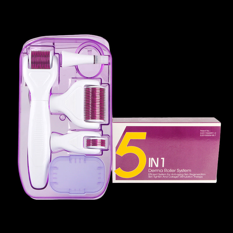 6-in-1 Derma Roller Kit Facial Microneedling