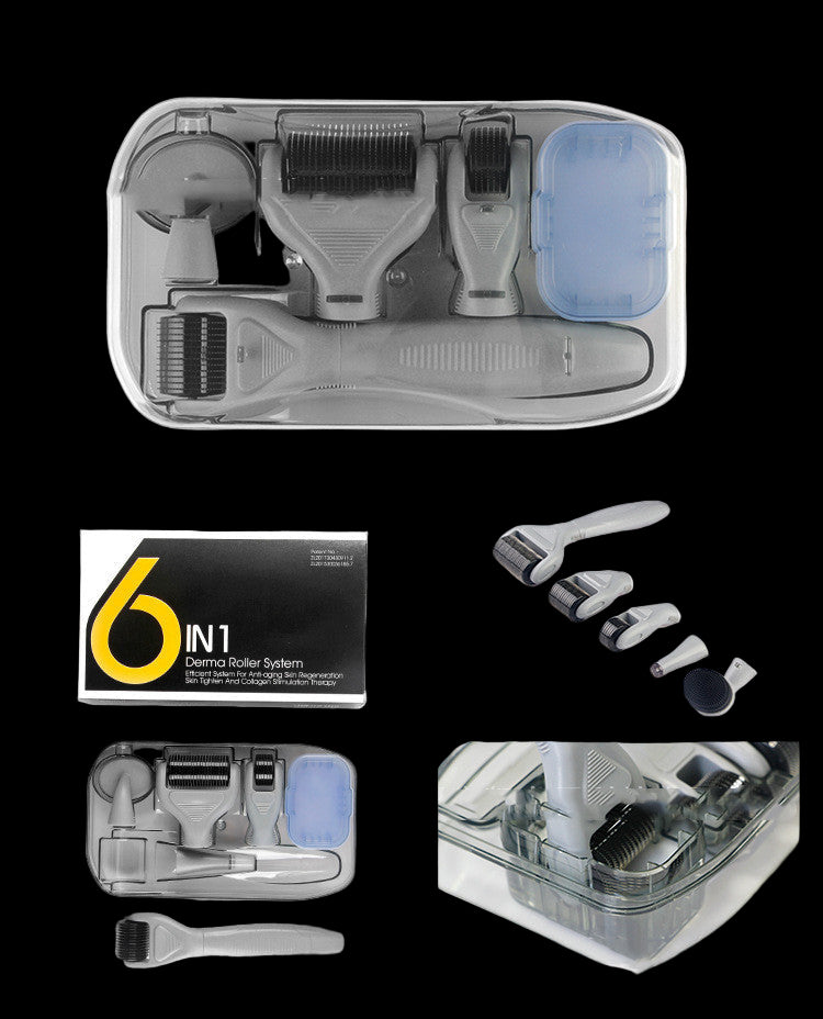 6-in-1 Derma Roller Kit Facial Microneedling