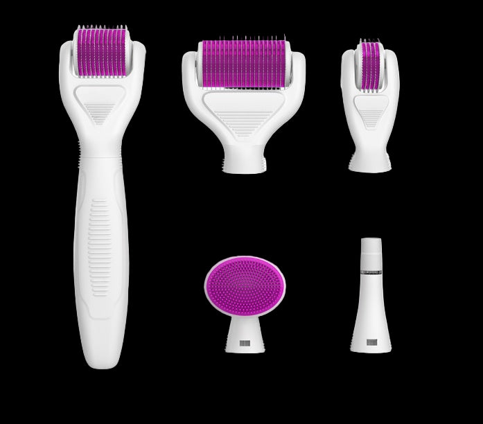 6-in-1 Derma Roller Kit Facial Microneedling