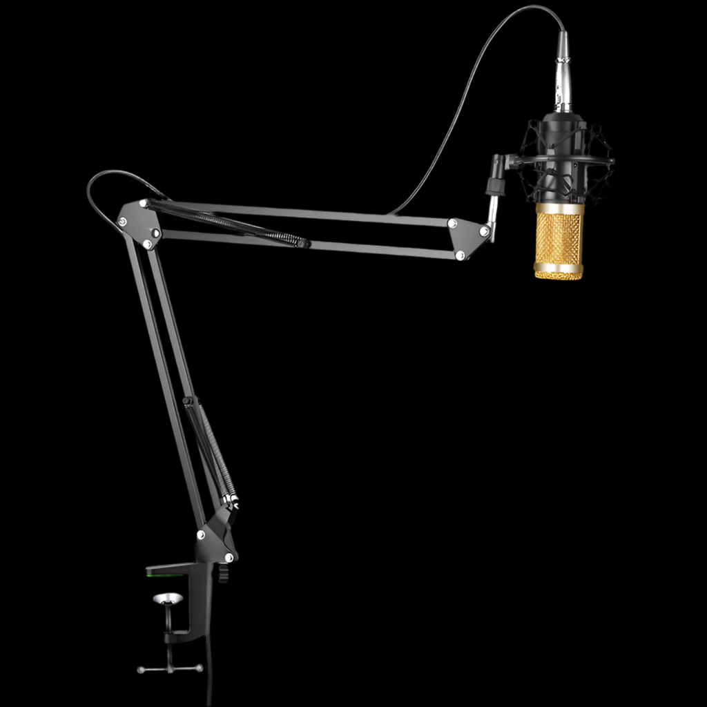 BM-800 Condenser Mic for Studio-Quality Sound
